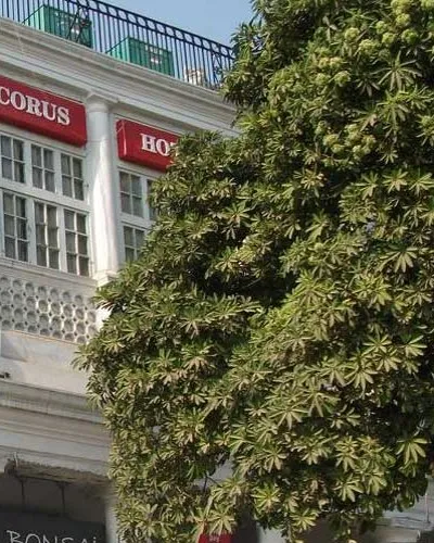 5 Star Hotel Escorts